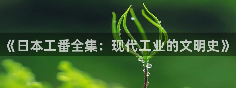 高等灵魂包子漫画：《日本工番全集：现代工业的文明史》